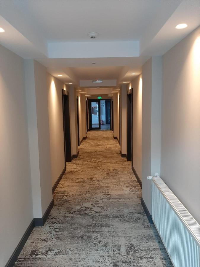 Artemis Hotel Baile Herculane Bagian luar foto